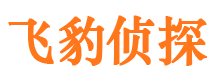 海南外遇出轨调查取证